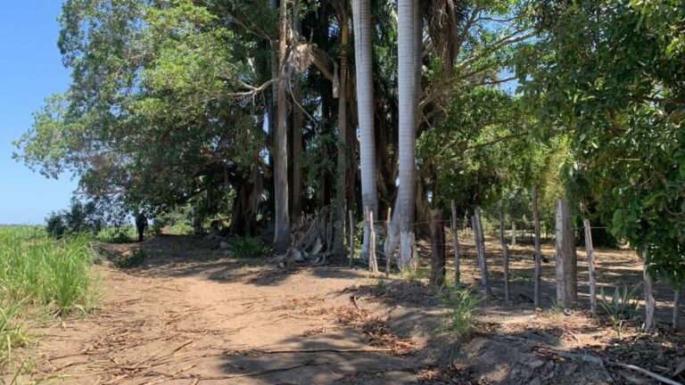 Foto/Fuente: Luz Noticias.