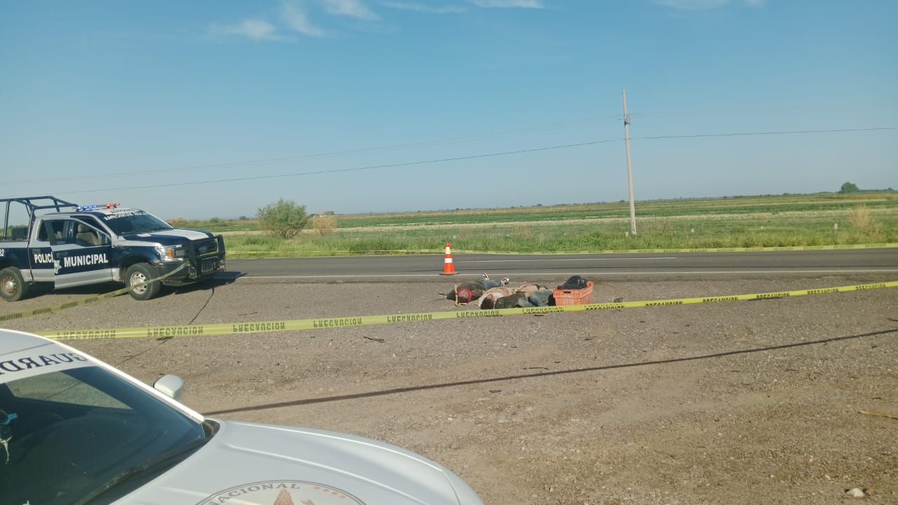 HALLAN CUATRO CUERPOS SIN VIDA A LA ORILLA DE LA CARRETERA EN AHOME