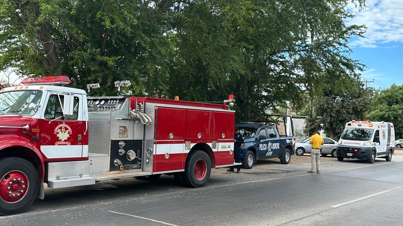 INCENDIO EN CONGELADORA MOVILIZA A CUERPOS DE AUXILIO EN LOS MOCHIS