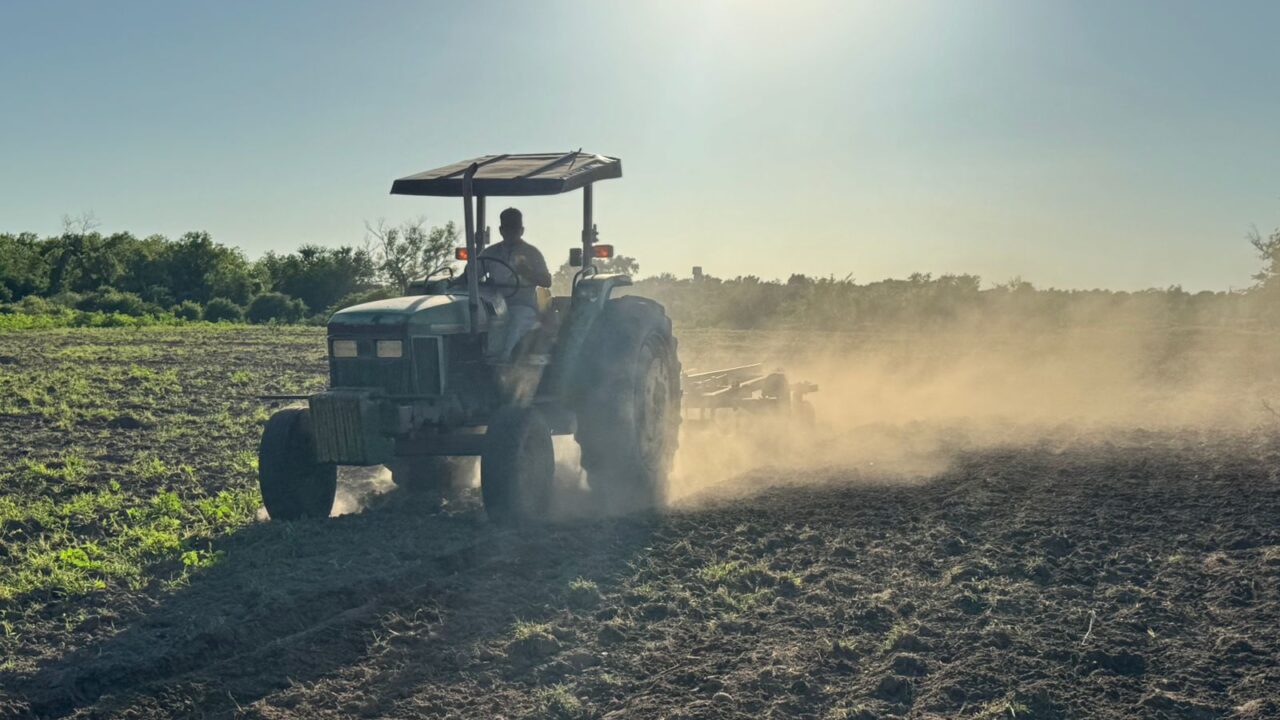 LA AGRICULTURA CADA VEZ SE TORNA MÁS CRÍTICA EN LA REGIÓN DEL ÉVORA