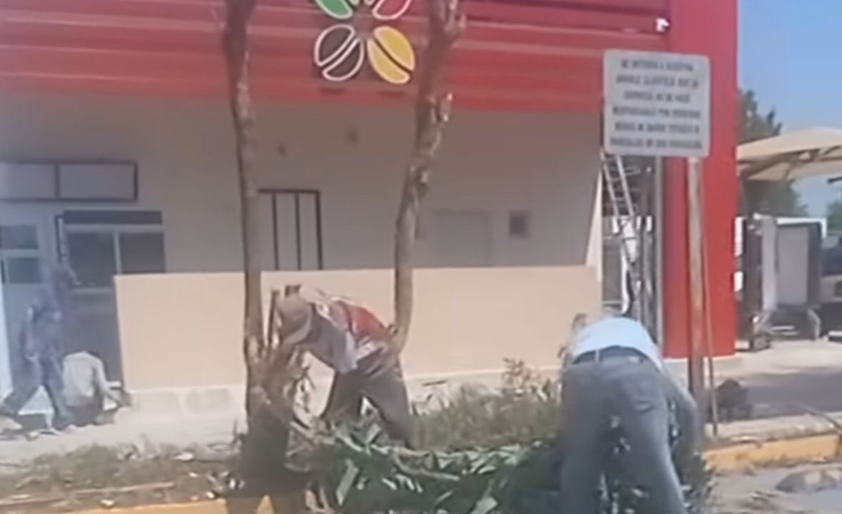 REPORTAN INTENTO DE ‘ECOCIDIO’ EN LA COLONIA RESIDENCIAL DEL VALLE DE LOS MOCHIS